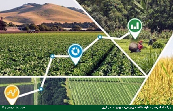 حوزه کشاورزی و صنایع غذایی با ورودنوآوری و فناوری توسعه یافت حوزه کشاورزی و صنایع غذایی با ورودنوآوری و فناوری توسعه یافت